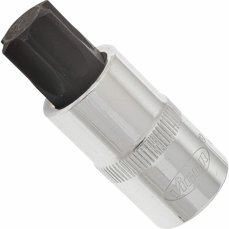 Vigor V2160 Steckdosen/Steckdosen-Set Buchse