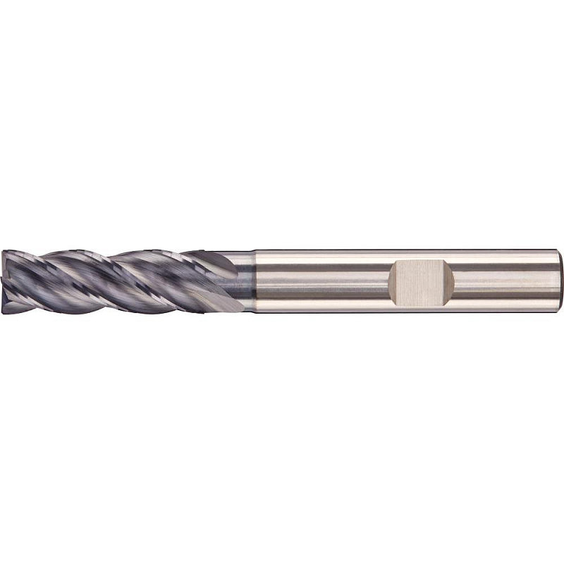 Fortis 4317784740760 Fräser