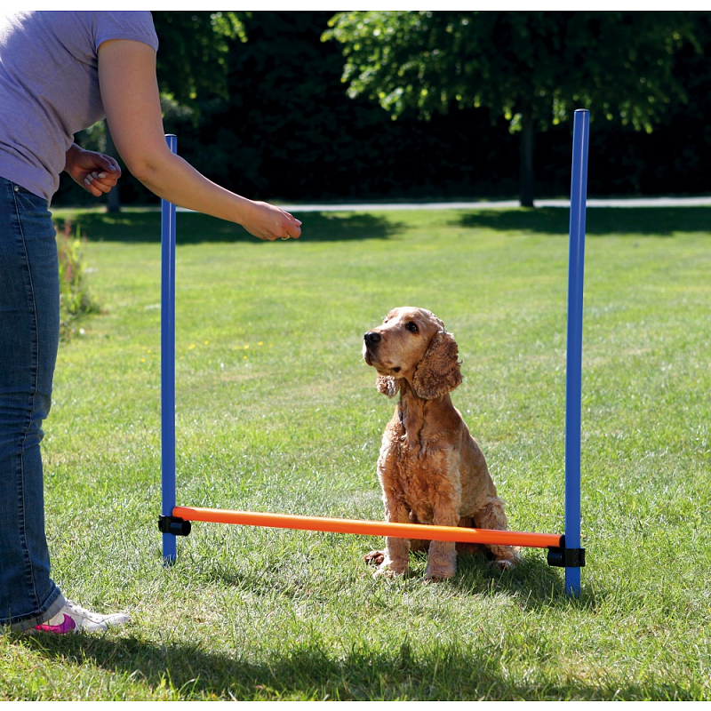TRIXIE 3207 Agility-Ausrüstung für Hunde & Katzen 3 Stück(e) Blau, Orange Kunststoff Hund Agility-Ausrüstungsset