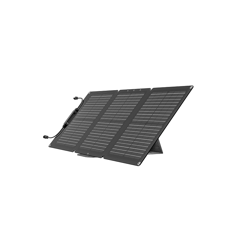 EcoFlow EFSOLAR60 Solarmodul 60 W Monokristallines Silizium