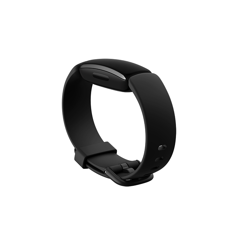 Fitbit FB177ABBKS Intelligentes tragbares Accessoire Band Schwarz Aluminium, Silikon