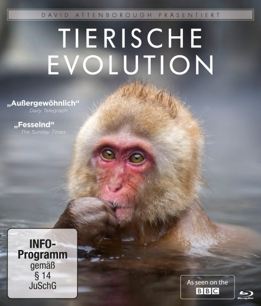 PLAION David Attenborough: Tierische Evolution (Blu-ray) Deutsch, Englisch