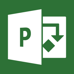 Microsoft Project Professional 2019 1 Lizenz(en) Deutsch
