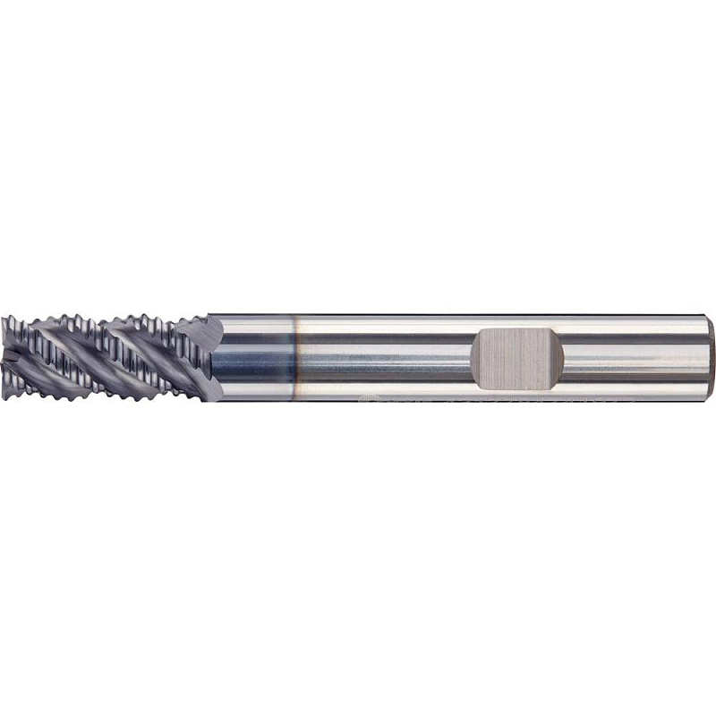 Fortis 4317784741934 Fräser